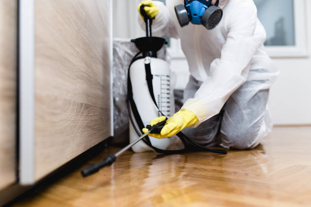 Best Bed Bug Extermination  in Alpine, NJ