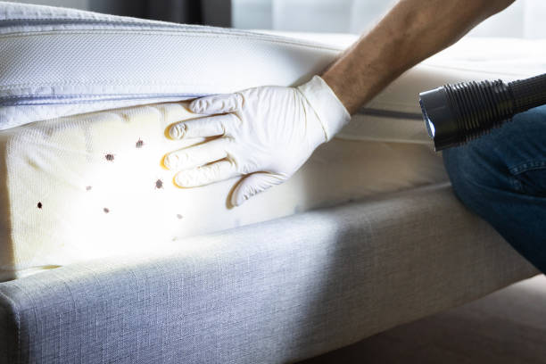 Professional Pest Control in Alpine, NJ