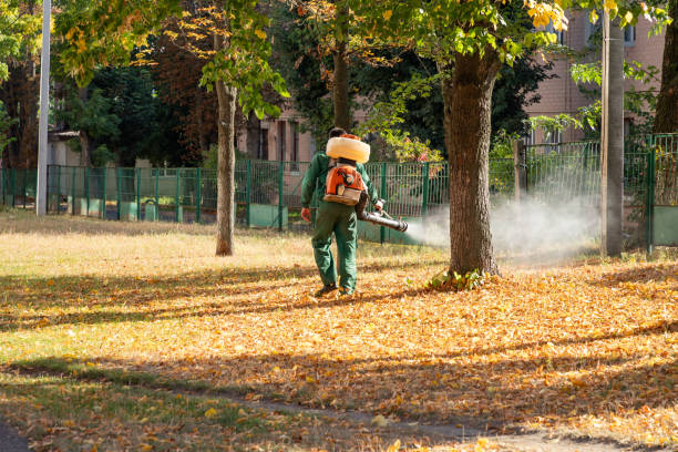 Best Local Pest Control Services  in Alpine, NJ
